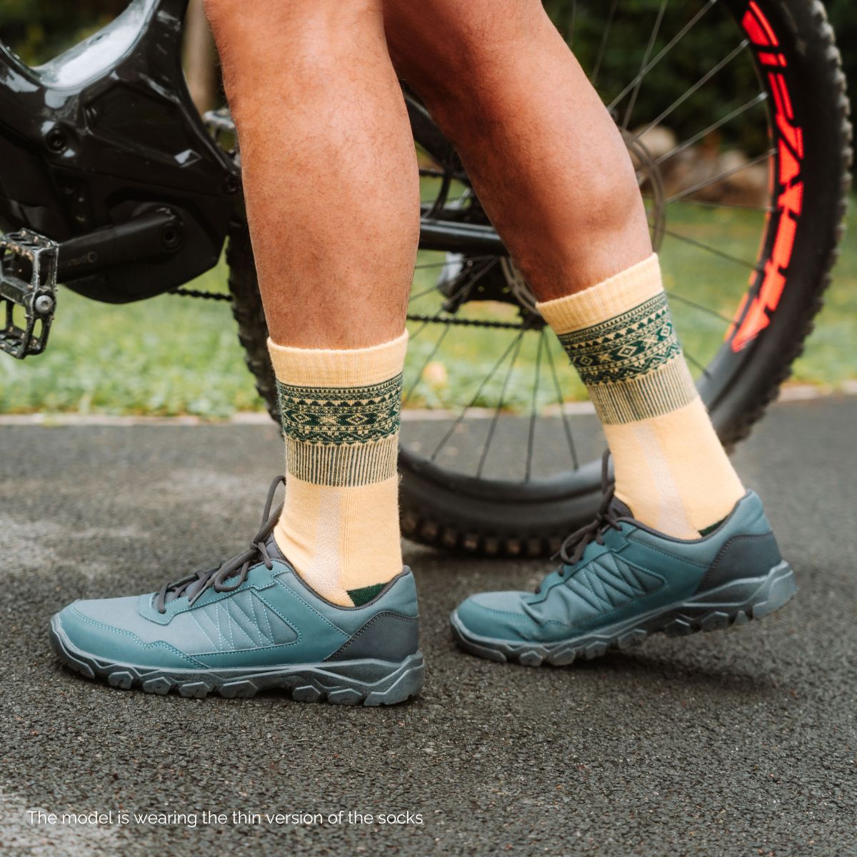 5_384e8f6d-f288-42e0-958c-11be4db03180