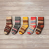 sofia kids 5 pairs